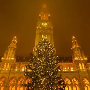 Appartamento Vienna Home, Vienna